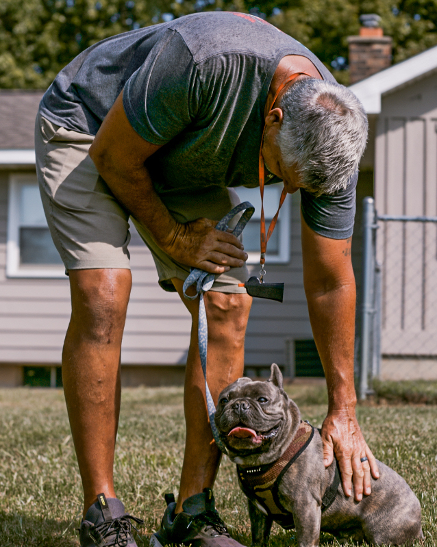 dog obedience training kingseed kennels