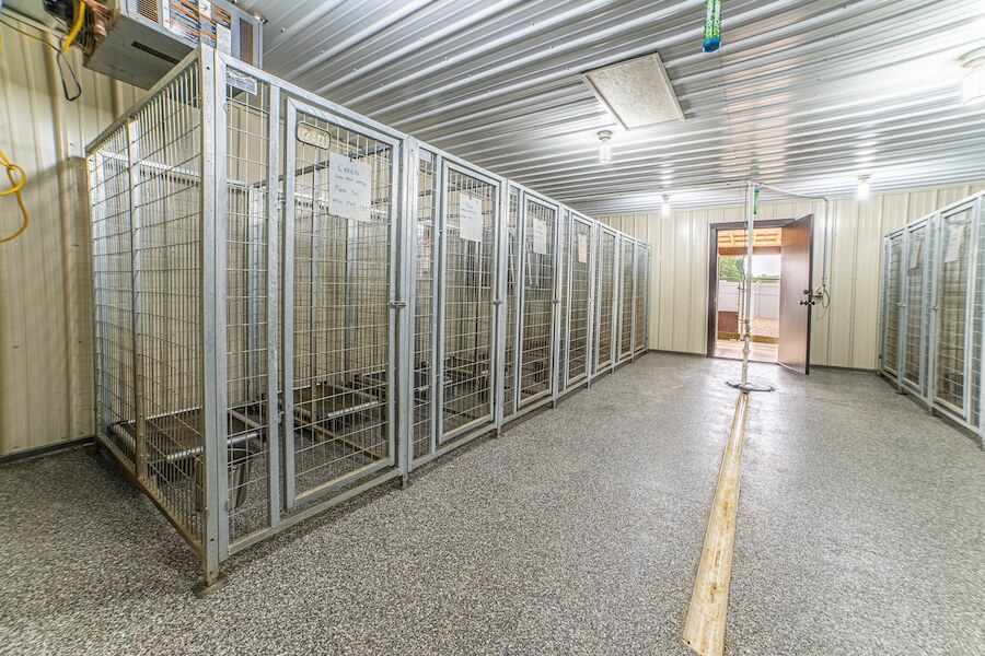 Dog Kennels - Kingseed Kennels